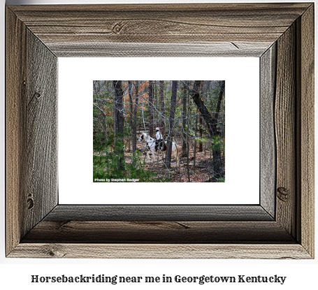 horseback riding near me in Georgetown, Kentucky